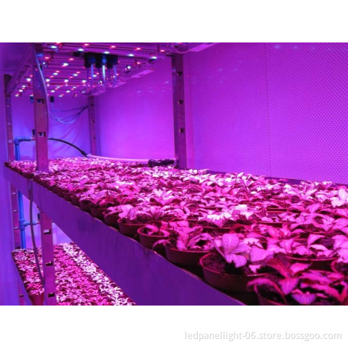 Hot Selling led battery powered grow lights adjustable,timer,controllable
